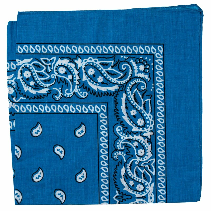 Bandana - Paisley Blue - Image 2