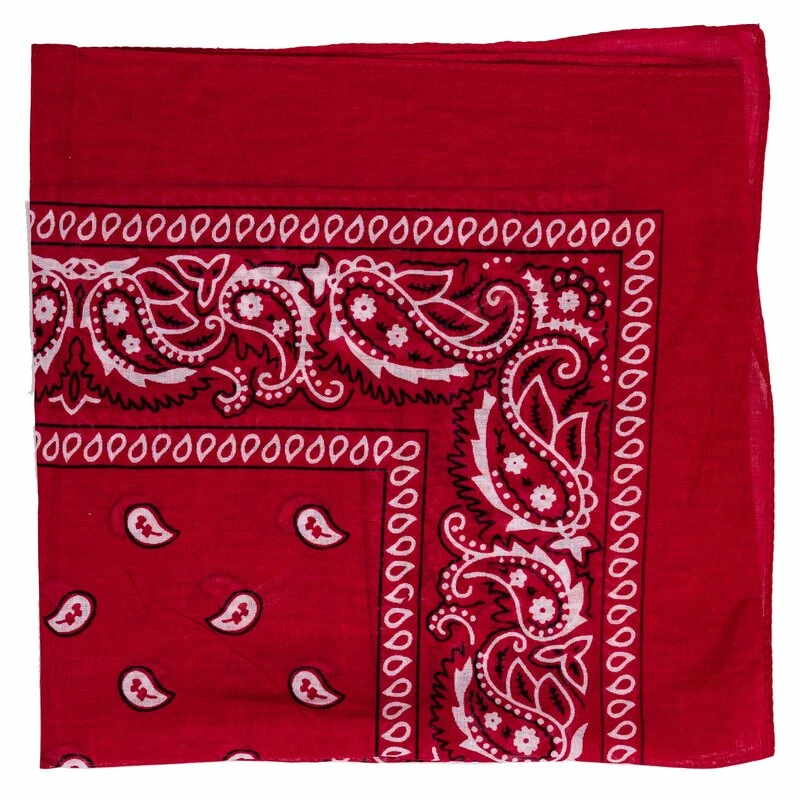 Bandana - Paisley Blue - Image 2