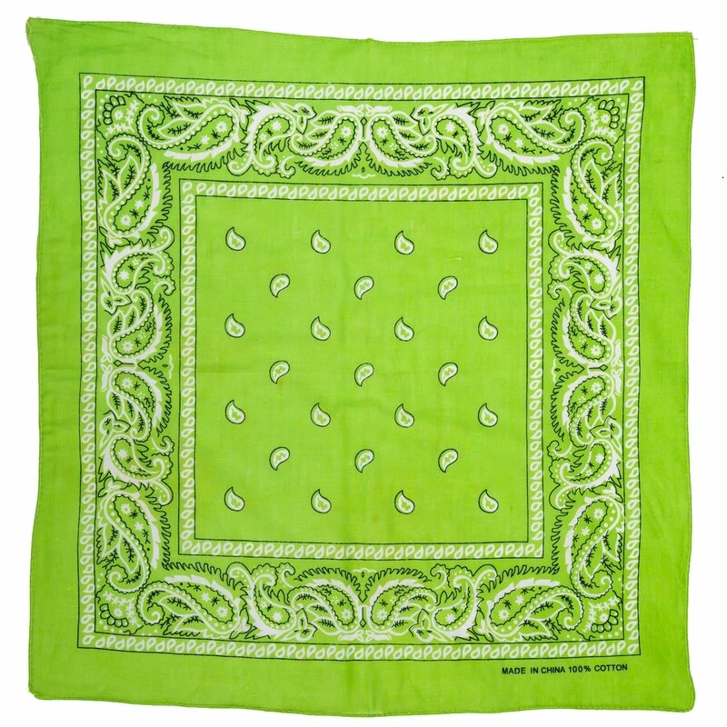 Bandana - Paisley Lime