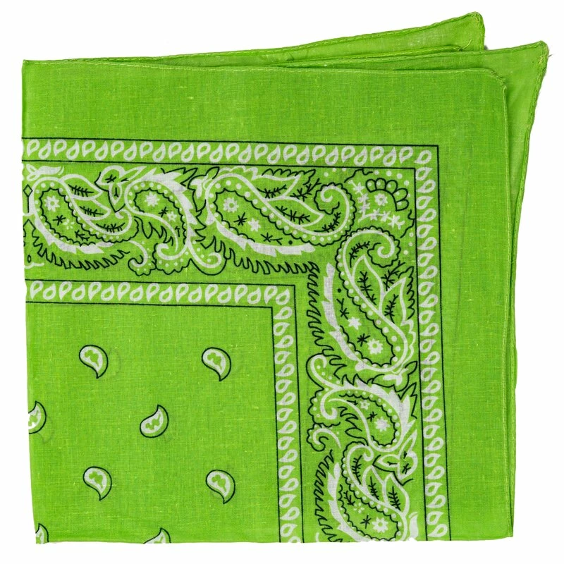 Bandana - Paisley Lime - Image 2