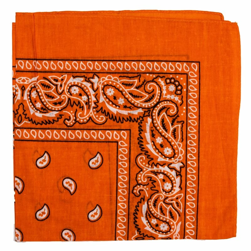 Bandana - Paisley Orange - Image 2
